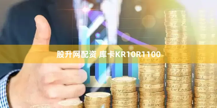股升网配资 库卡KR10R1100